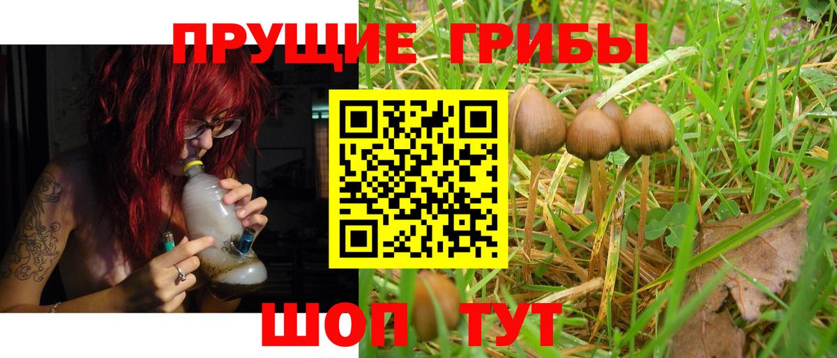 Псилоцибиновые грибы Cubensis  Вход с VPN  Пыть-Ях 